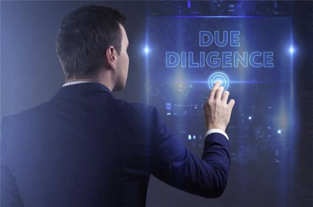 due-diligence-independent-speculator